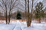 Snowy Trail_05642